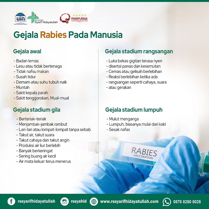 BAHAYA RABIES 2
