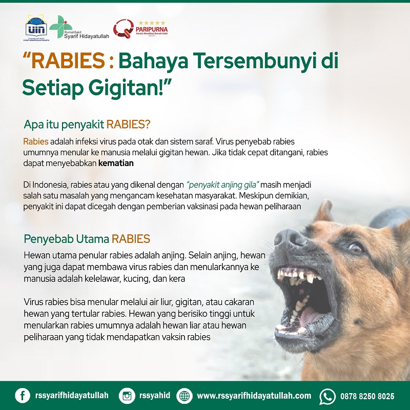 BAHAYA RABIES 2025